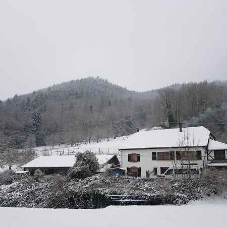 Gite Le Creux Chene Rombach-le-Franc Kültér fotó