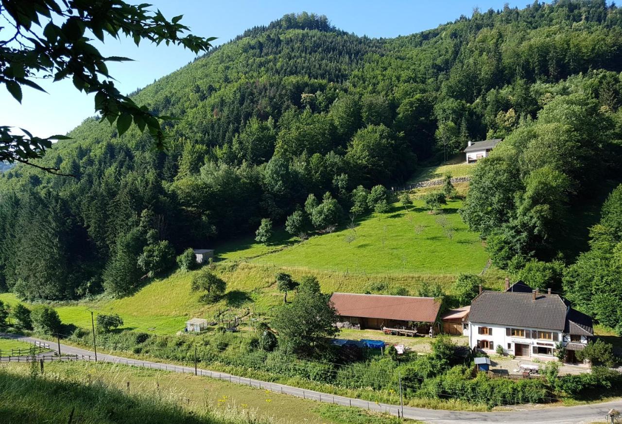 Gite Le Creux Chene Rombach-le-Franc Kültér fotó