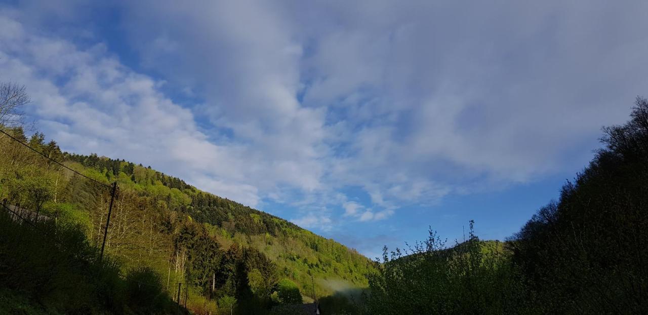 Gite Le Creux Chene Rombach-le-Franc Kültér fotó