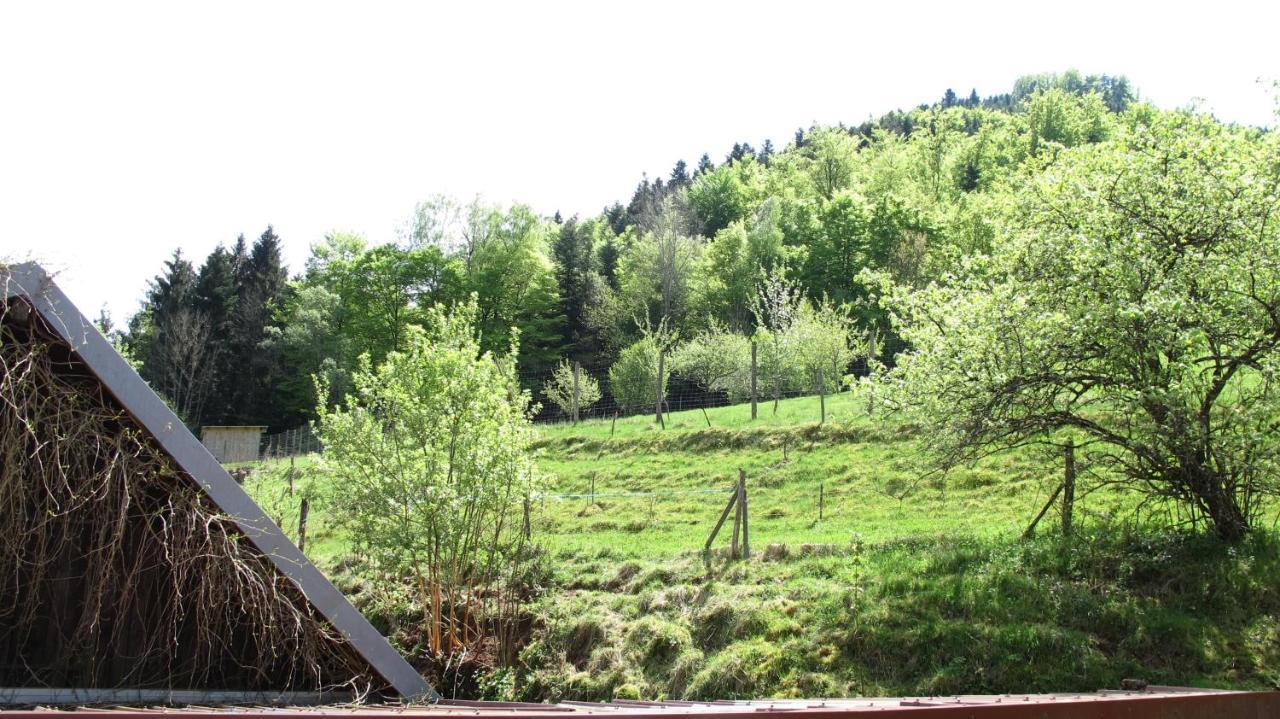 Gite Le Creux Chene Rombach-le-Franc Kültér fotó