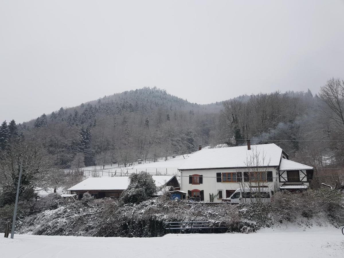 Gite Le Creux Chene Rombach-le-Franc Kültér fotó
